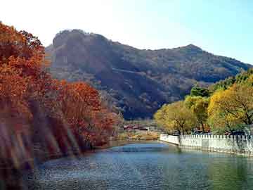 新澳门二四六天天开奖，蓄电池配件